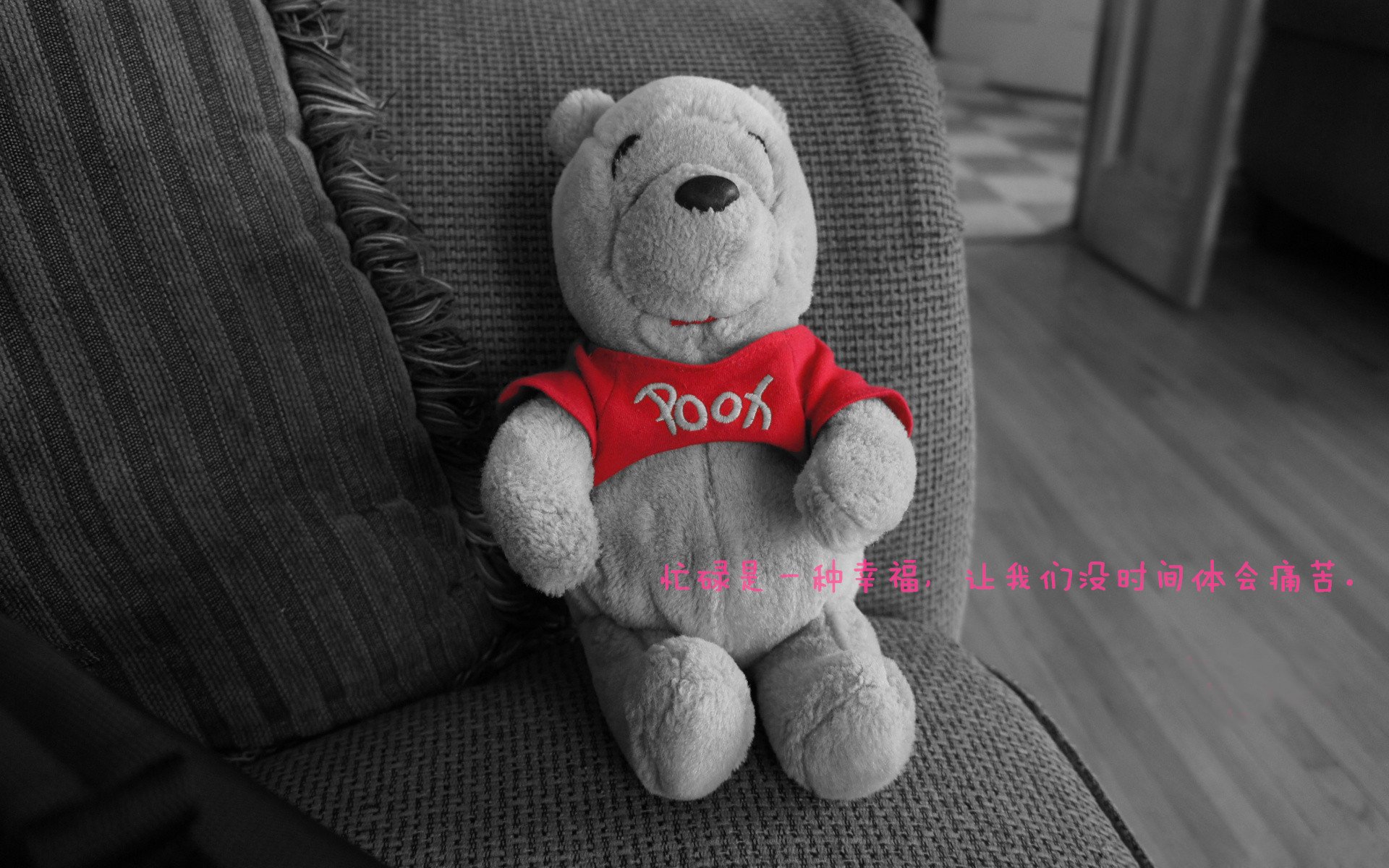 独行侠险胜森林狼，西亚卡姆在英超争冠接管比赛